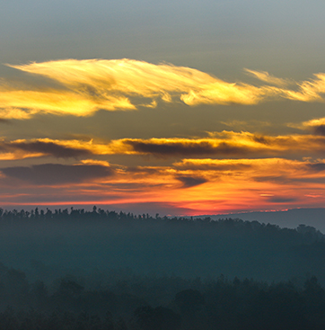 Kumbargadde Homestay Coorg